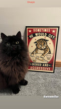 Load image into Gallery viewer, Aggressive