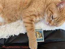 Load image into Gallery viewer, Complicated Friendships Matchbox Set