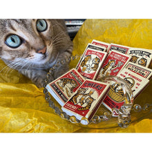 Load image into Gallery viewer, Drunk Cat Matchbox Set