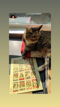 Load image into Gallery viewer, STAMPS - Drunk Cat Stamp Sheet
