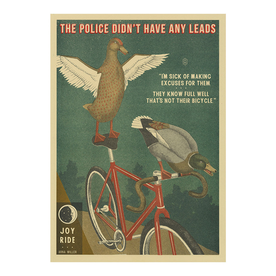 Ducks Bicycle